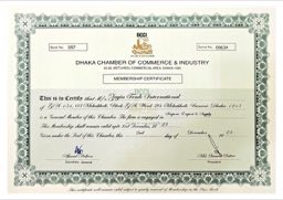 DCCI Membership document