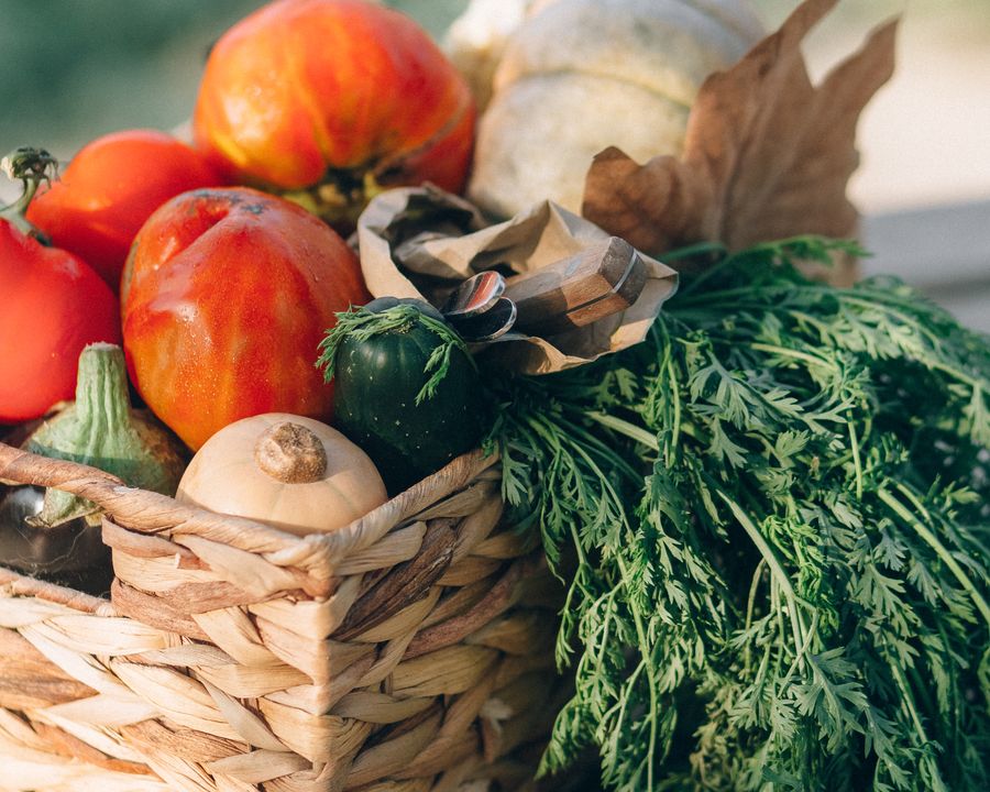 Fresh Vegetables