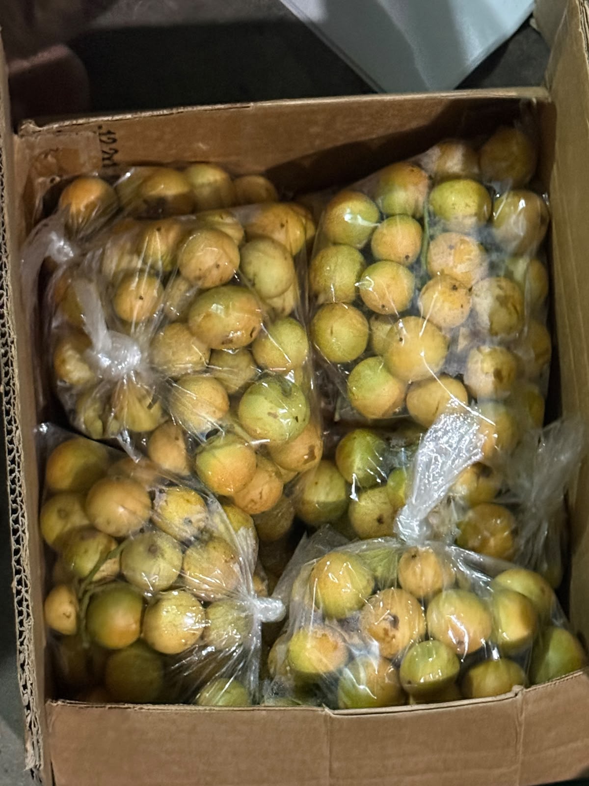 Fresh produce hand-packed into retail bags inside an export carton