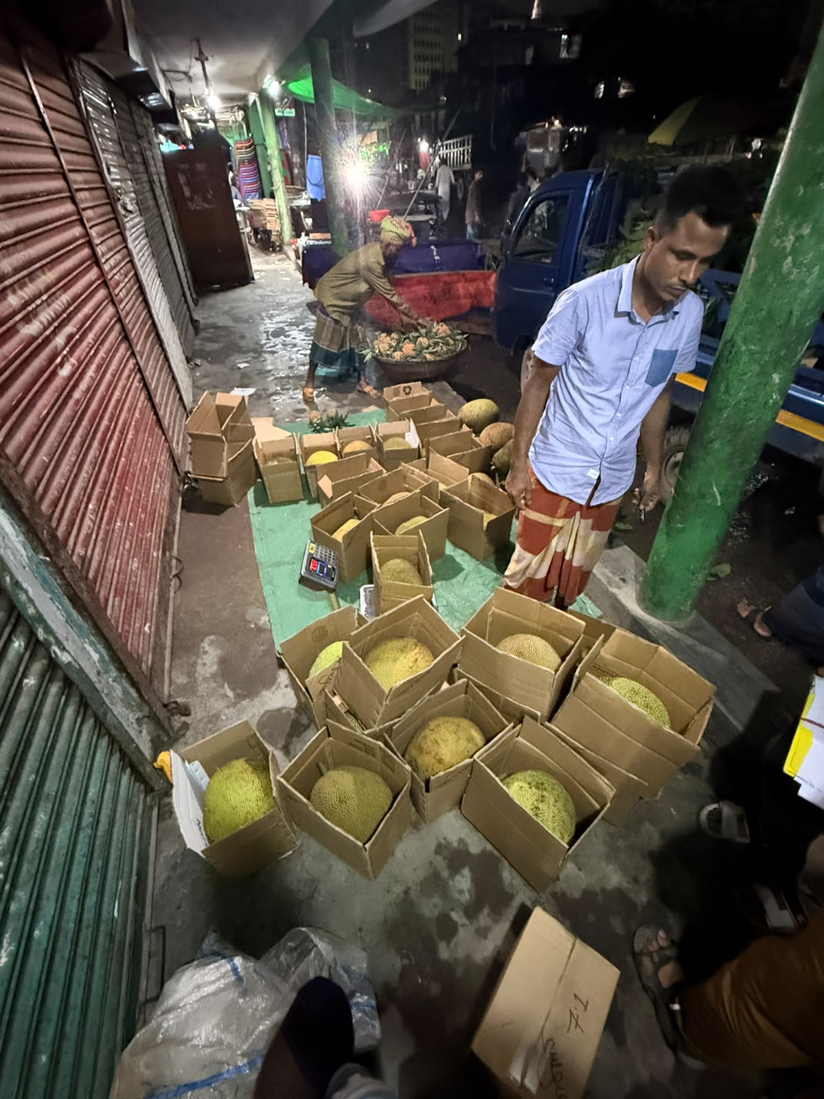 Green jackfruit packed into individual cartons at a wholesale market